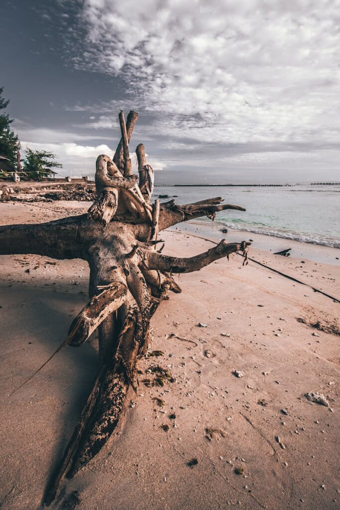 Serene driftwood on a Lombok, Indonesia beach with cloudy sky and calm waters.