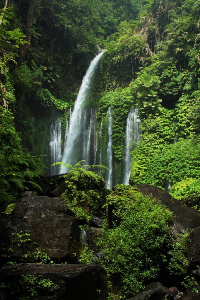 Tiu Kelep Waterfall cascades through lush forest in West Nusa Tenggara, Indonesia.