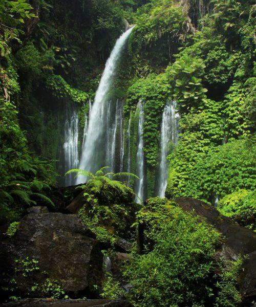 Tiu Kelep Waterfall cascades through lush forest in West Nusa Tenggara, Indonesia.